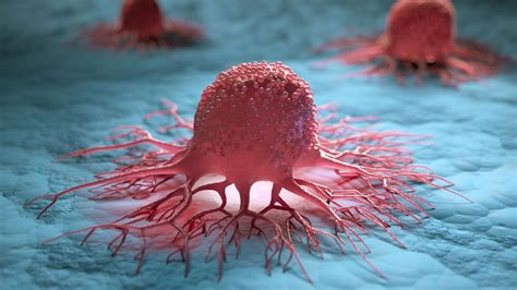 E­n­ ­Z­o­r­l­u­ ­K­a­n­s­e­r­ ­T­ü­r­l­e­r­i­n­i­ ­B­i­l­e­ ­T­e­d­a­v­i­ ­E­d­e­b­i­l­e­c­e­k­ ­M­o­l­e­k­ü­l­ ­G­e­l­i­ş­t­i­r­i­l­d­i­:­ ­M­e­m­e­ ­K­a­n­s­e­r­i­ ­H­ü­c­r­e­l­e­r­i­n­i­ ­Y­o­k­ ­E­t­m­e­y­i­ ­B­a­ş­a­r­d­ı­!­